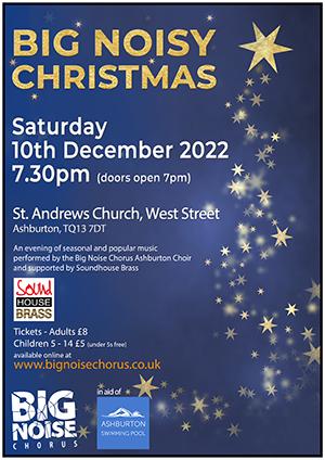 Ashburton Christmas Concert