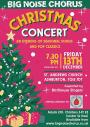 Ashburton Christmas Concert